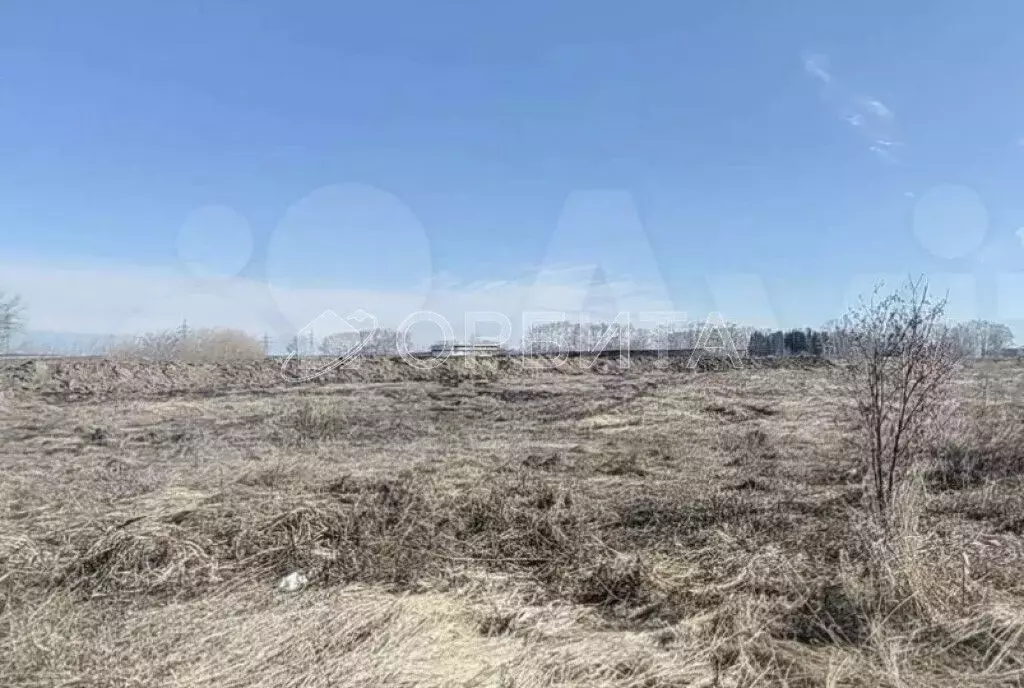 Участок в Тюменская область, Тюмень  (51.1 сот.) - Фото 2