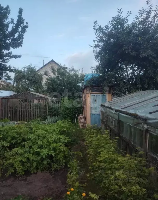 Дом в Брянская область, Брянск Лужаны-2 со,  (50 м) - Фото 1