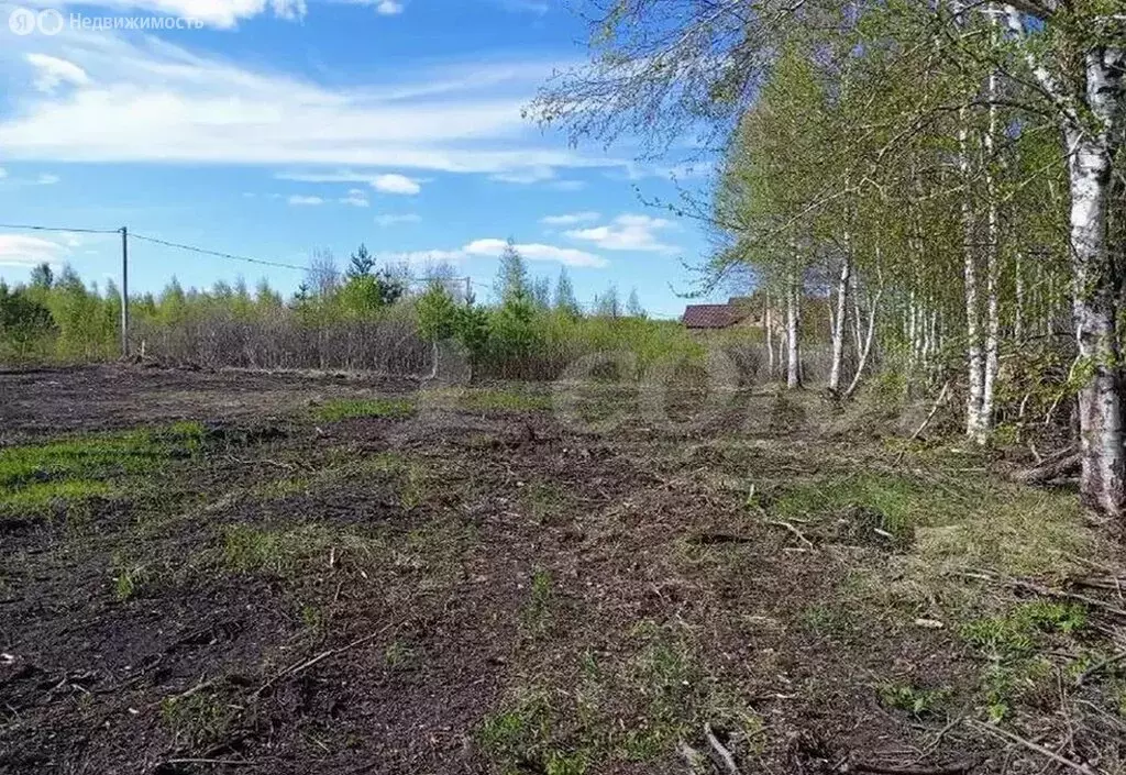 Участок в Тюменская область, Нижнетавдинский муниципальный округ, ... - Фото 1