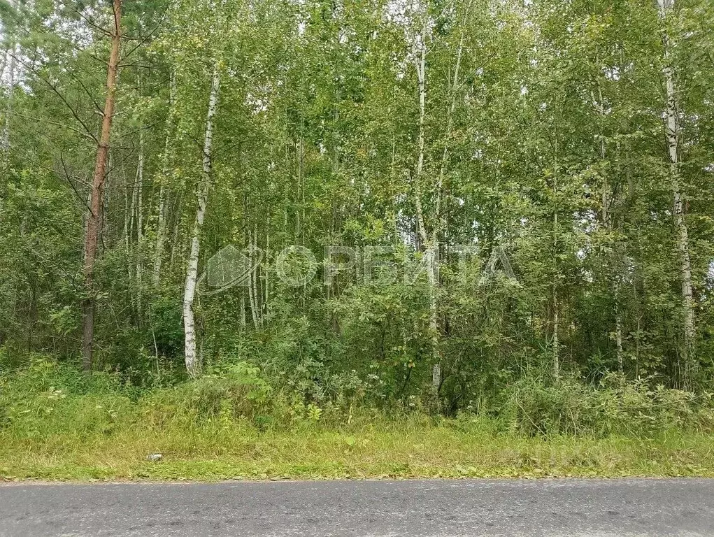 Участок в Тюменская область, Нижнетавдинский район, Сундукульский ... - Фото 0