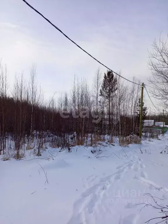 Участок в Ханты-Мансийский АО, Ханты-Мансийск Коммунальник СОТ,  (10.0 ... - Фото 0