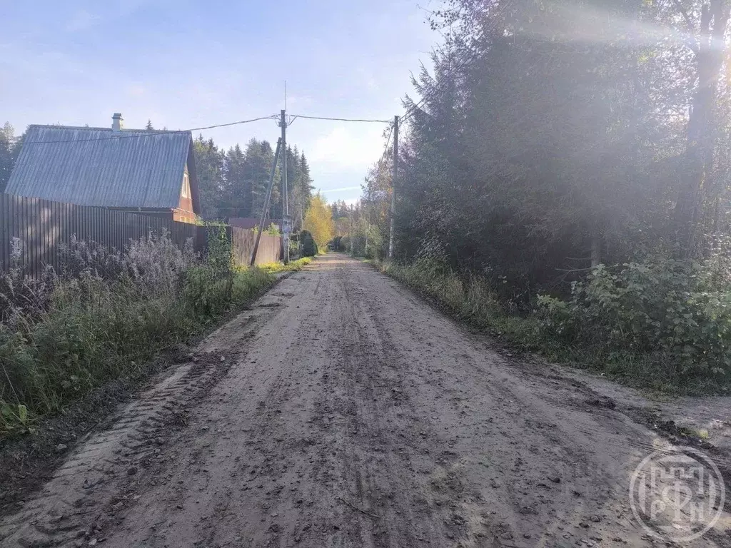 Участок в Ленинградская область, Выборгский район, Рощинское городское ... - Фото 1
