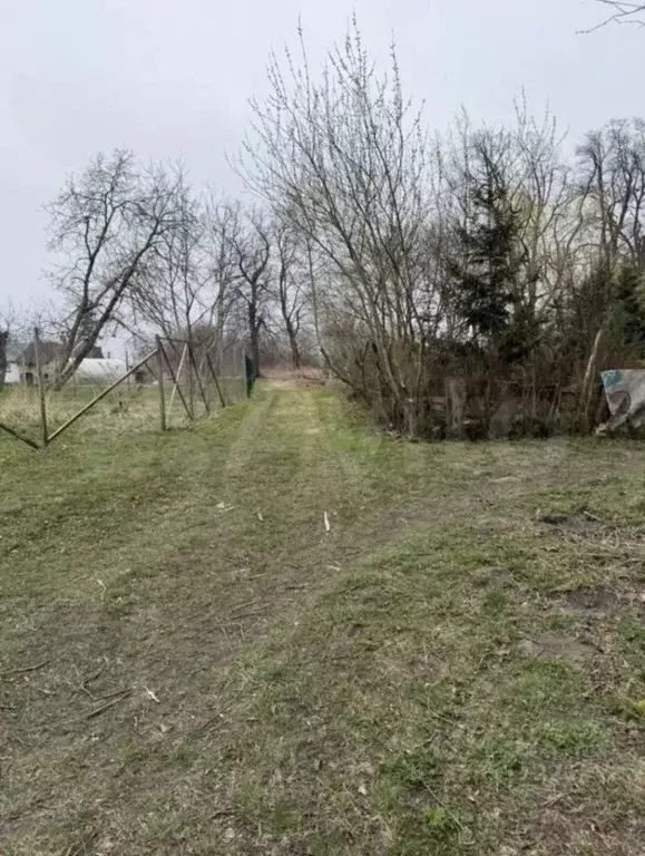 Участок в Калининградская область, Зеленоградский муниципальный округ, ... - Фото 2