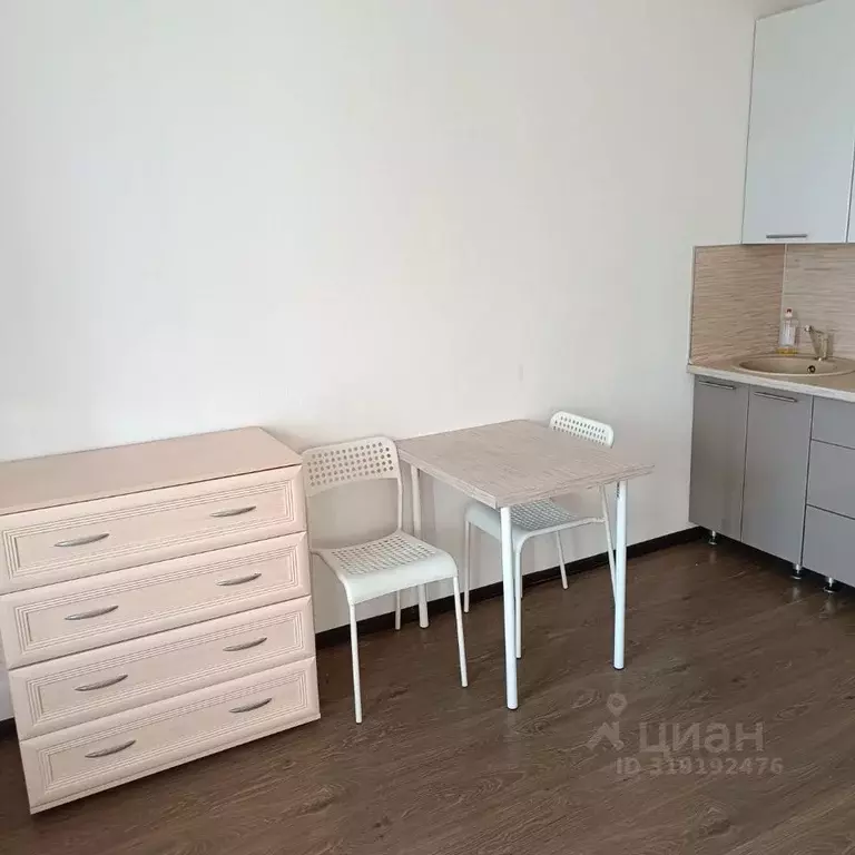 Студия Санкт-Петербург Комендантский просп., 64к1 (30.0 м) - Фото 1