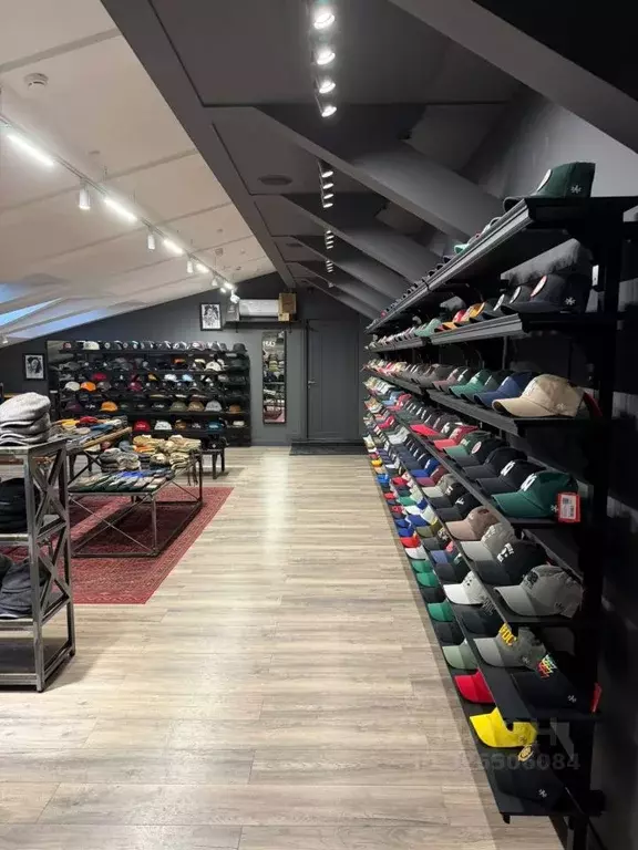 Помещение свободного назначения в Москва ул. Кузнецкий Мост, 7 (176 м) - Фото 1