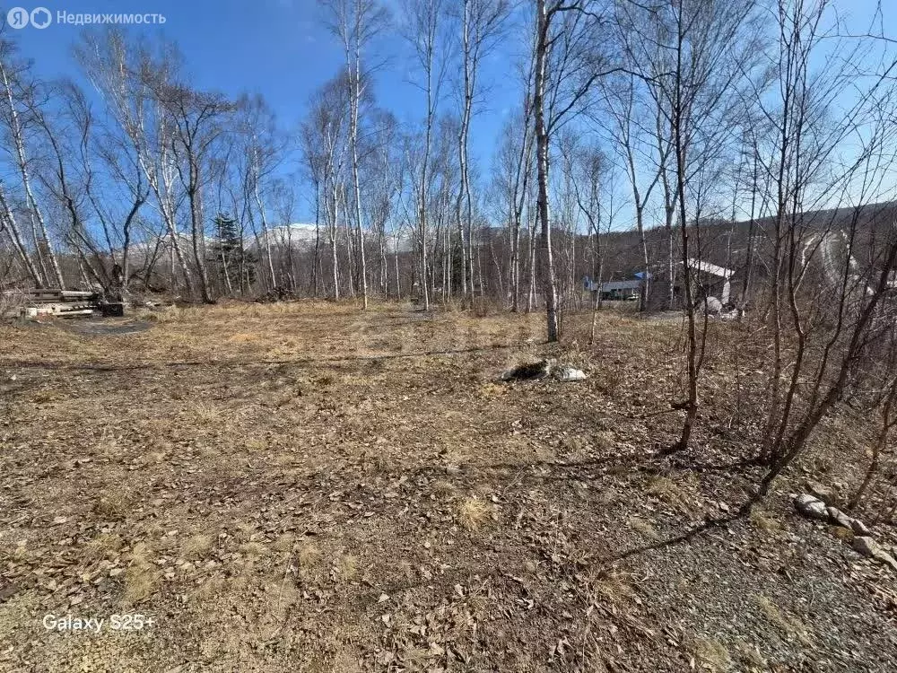 Участок в Южно-Сахалинск, ДНТ Кедр (1195 м) - Фото 2