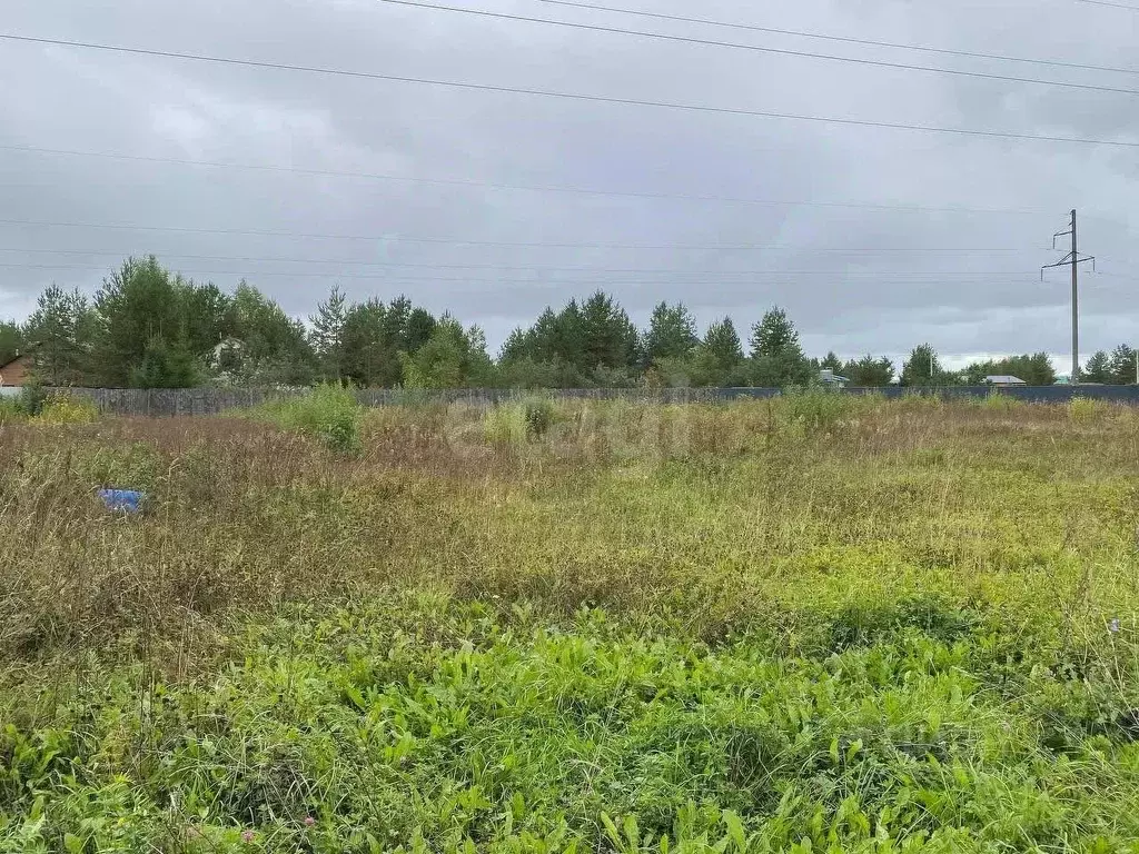 Участок в Кировская область, Кирово-Чепецкий район, Пасеговское с/пос, ... - Фото 1