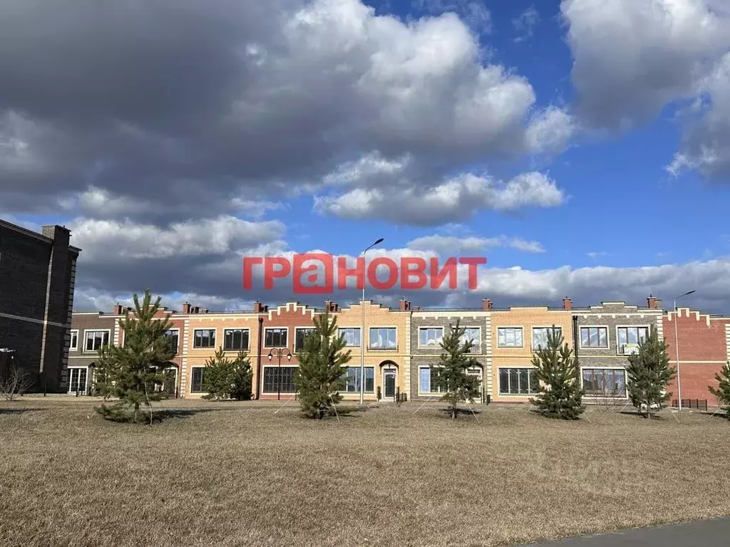 2-к кв. Новосибирская область, Новосибирский район, Мичуринский ... - Фото 0
