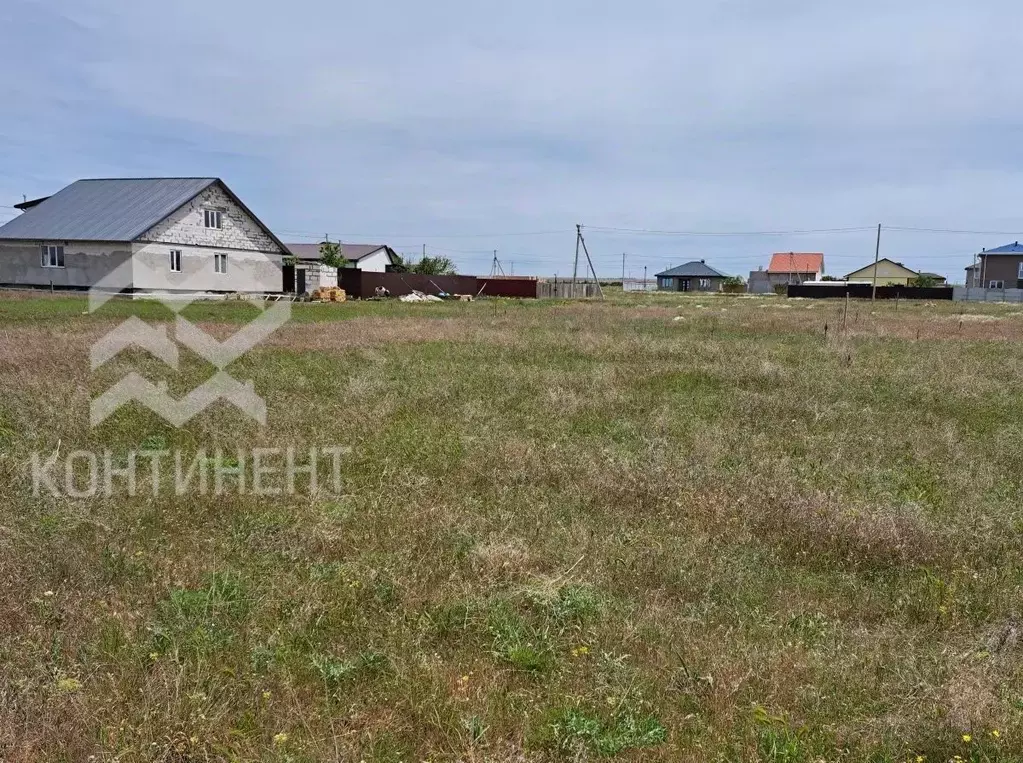 Участок в Крым, Черноморский район, с. Новосельское ш. Черноморское, ... - Фото 0
