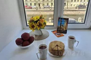 1-к кв. Санкт-Петербург наб. Канала Грибоедова, 54 (24.0 м) - Фото 1