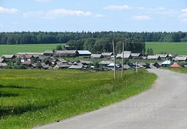 Участок в Свердловская область, Ачитский городской округ, д. Лямпа  ... - Фото 1