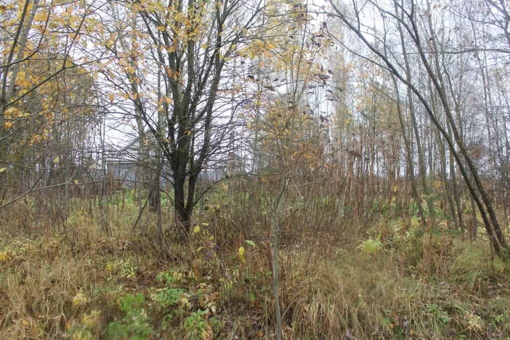 Участок в Москва пос. Рогово, ул. Заречная, 63 (9.92 сот.) - Фото 2