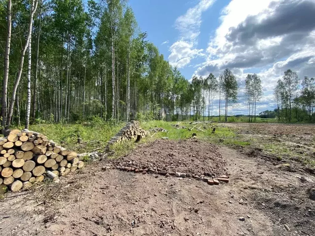 Участок 28 сот. (ИЖС) - Фото 0