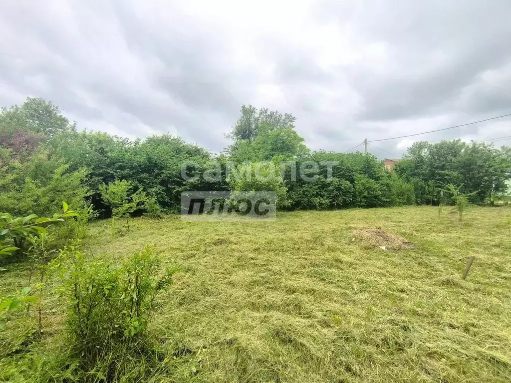 Участок в Краснодарский край, Апшеронский район, с. Черниговское ... - Фото 1