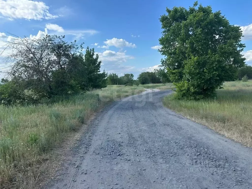 Участок в Ростовская область, Октябрьский район, Бессергеневское ... - Фото 1