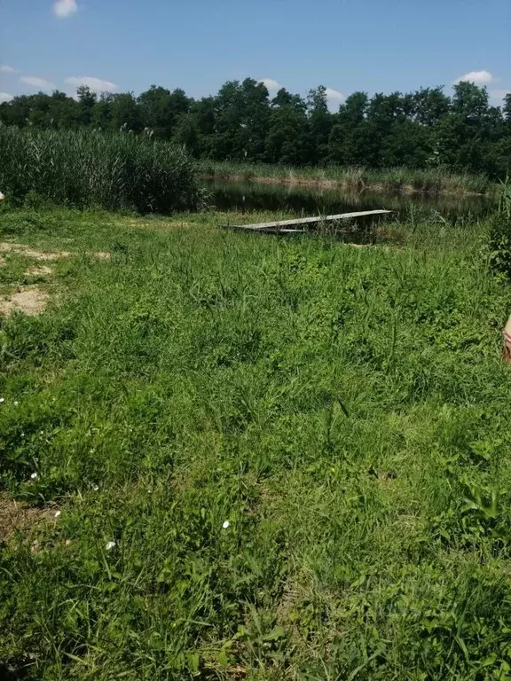 Участок в Краснодарский край, Динской район, Первореченское с/пос, с. ... - Фото 1