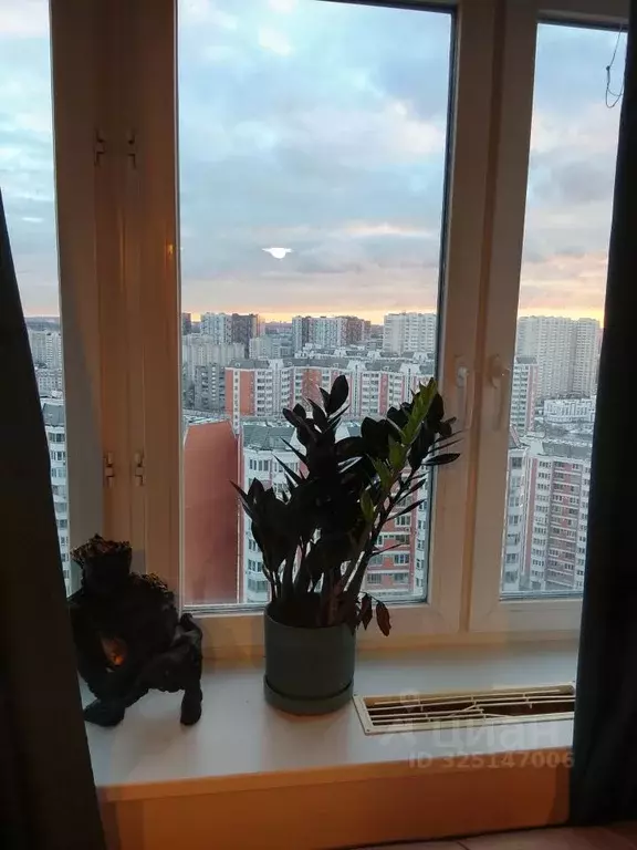 2-к кв. Московская область, Люберцы Красная Горка мкр, просп. ... - Фото 2