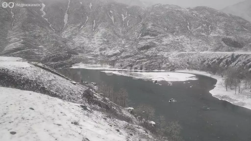 Участок в Онгудайский район, село Купчегень (418.4 м) - Фото 0