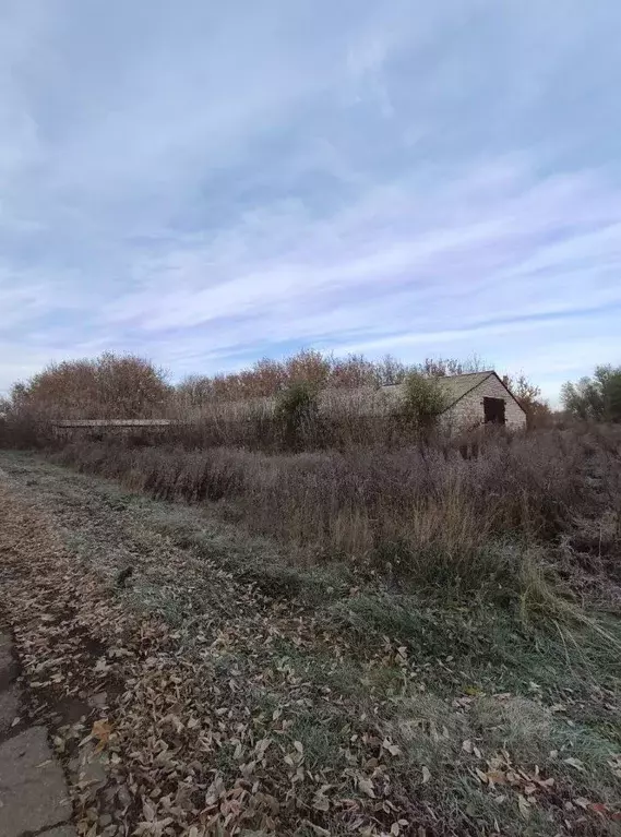 Помещение свободного назначения в Самарская область, Красноармейский ... - Фото 1