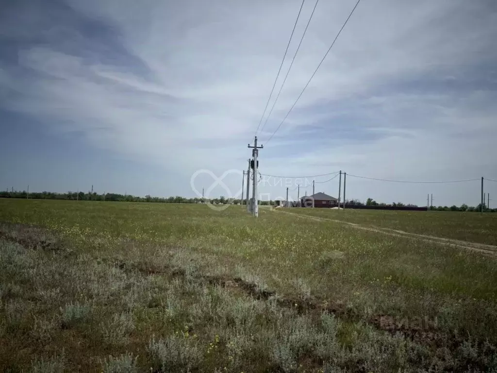 Участок в Волгоградская область, Городищенский район, Царицынское ... - Фото 2