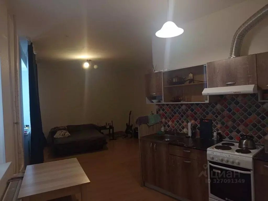 Студия Ленинградская область, Всеволожский район, д. Новое Девяткино ... - Фото 1