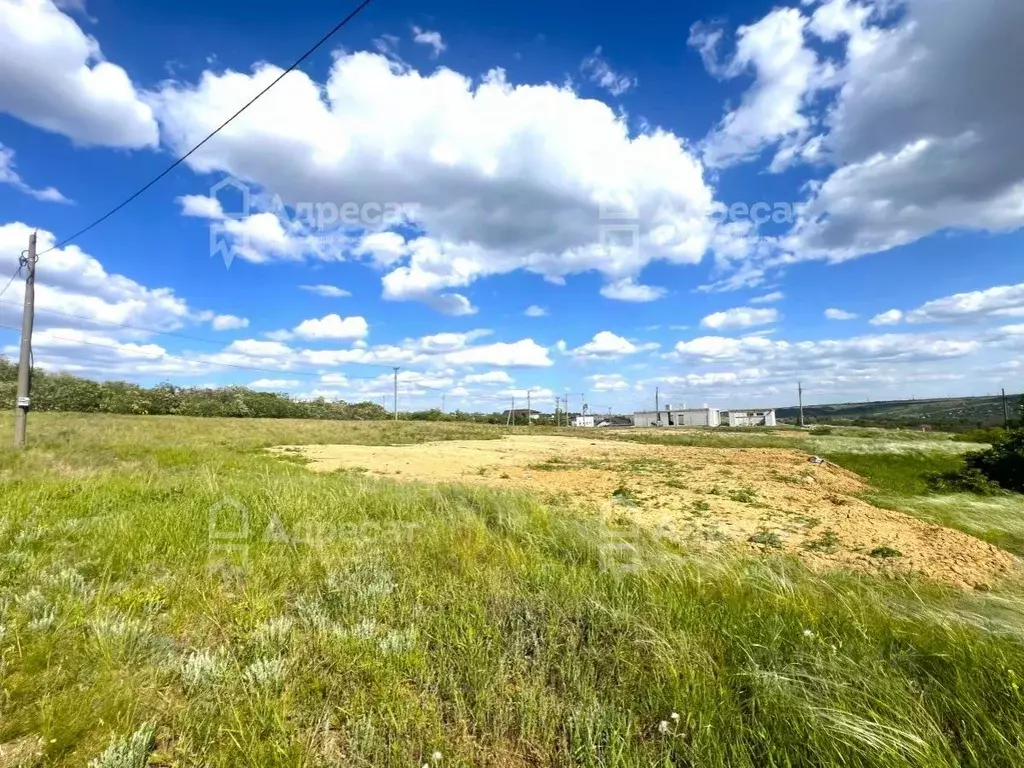 Участок в Волгоградская область, Городищенский район, Царицынское ... - Фото 1