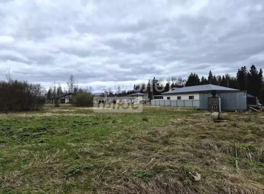 Участок в Московская область, Истра муниципальный округ, 0040249 кв-л  ... - Фото 2