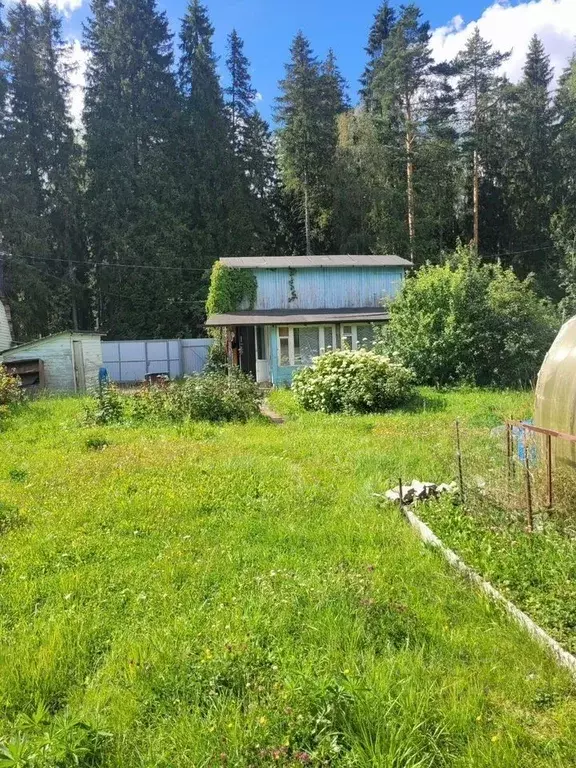 Дом в Ленинградская область, Выборг ул. Горбатая, 31 (35 м) - Фото 0