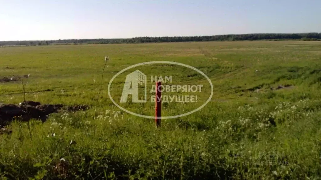 Участок в Удмуртия, Ярский район, д. Бармашур Заречная ул., 24 (88.0 ... - Фото 1