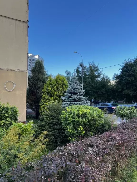 5-к кв. Москва ул. Коштоянца, 47к1 (135.0 м) - Фото 2