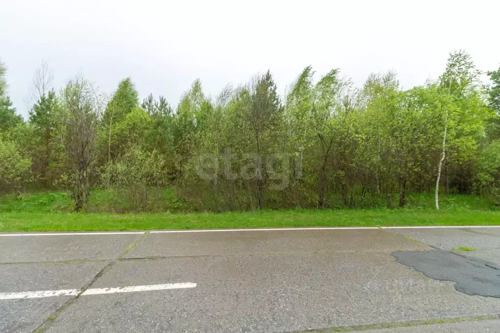 Участок в Тюменская область, Тюмень  (12.0 сот.) - Фото 0