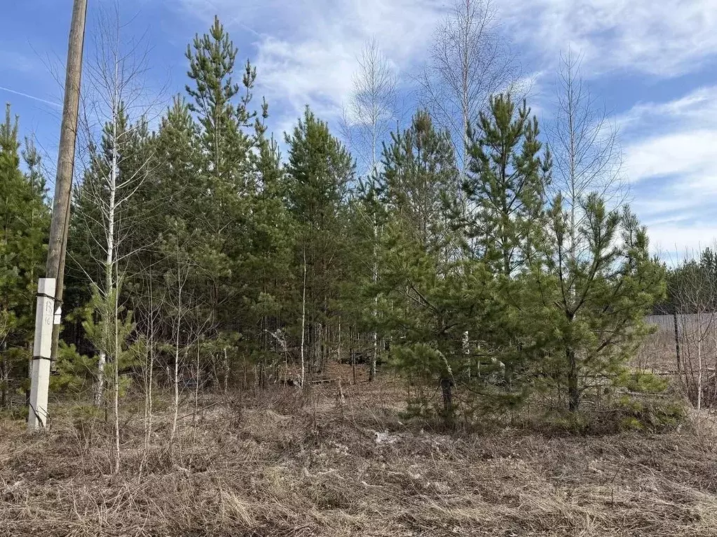 Участок в Свердловская область, Сысертский муниципальный округ, пос. ... - Фото 1