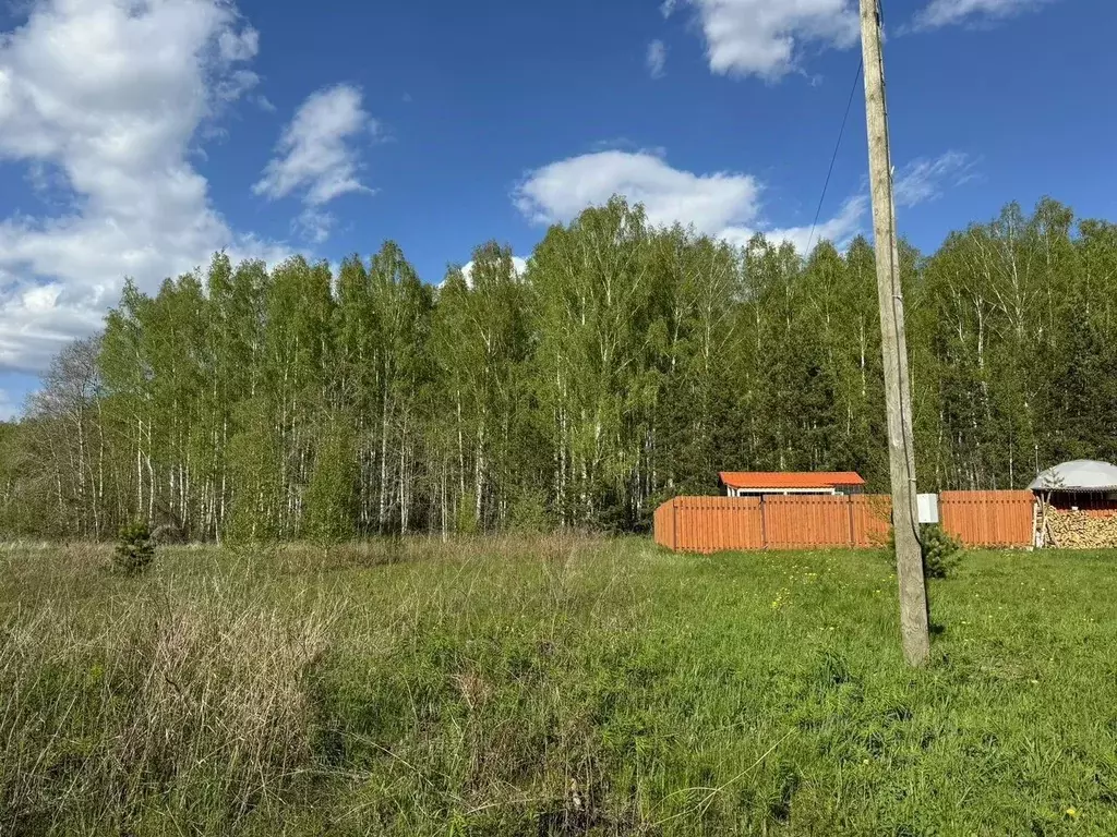 Участок в Свердловская область, Екатеринбург тракт Сибирский (дублер), ... - Фото 1