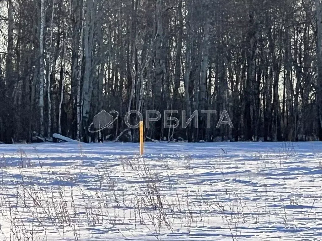 Участок в Тюменская область, Тюменский район, с. Горьковка Сибирская ... - Фото 0