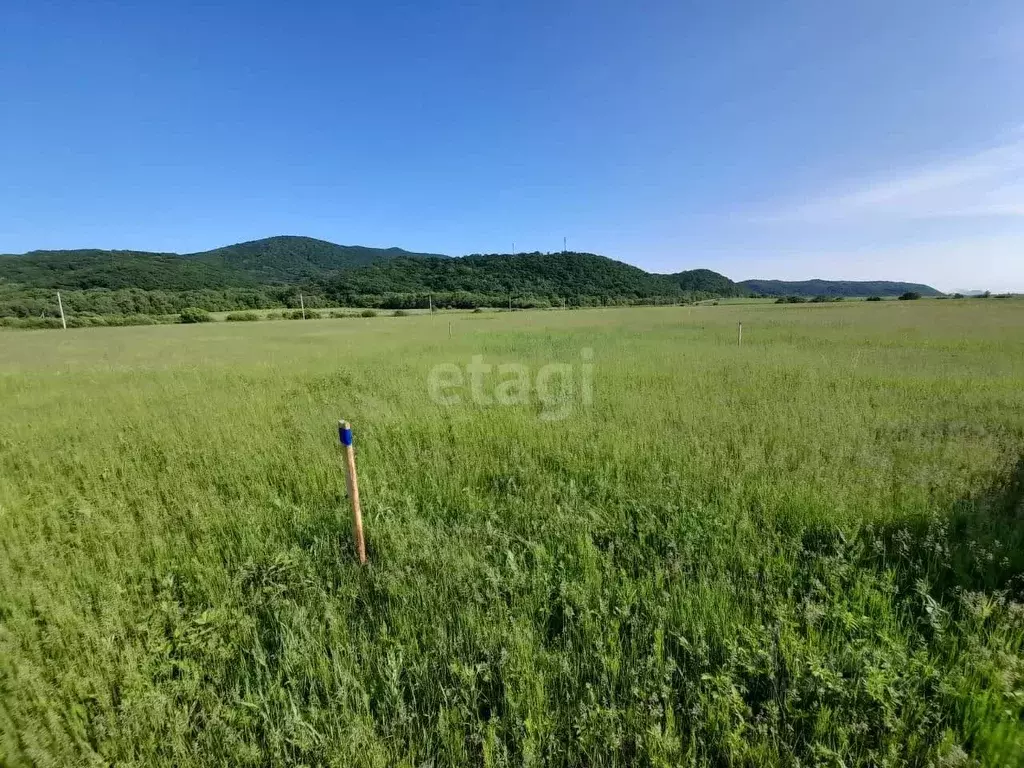 Участок в Приморский край, Партизанский муниципальный округ, д. ... - Фото 0