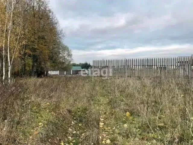 участок в московская область, домодедово городской округ, д. голубино . - Фото 0