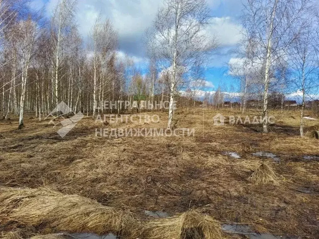 Участок в Рязанская область, Захаровский муниципальный округ, с. Осово ... - Фото 1