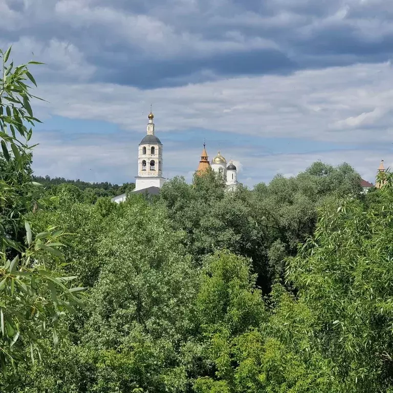 Дом в Калужская область, Боровский муниципальный округ, Бора-Боровск ... - Фото 2