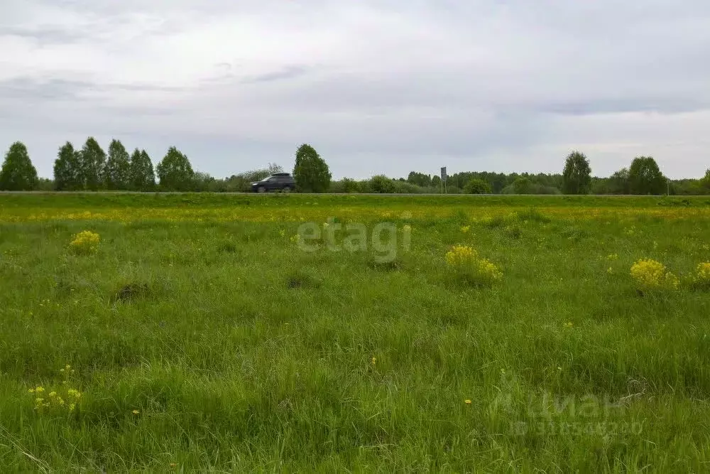 Участок в Кемеровская область, Новокузнецкий муниципальный округ, с. ... - Фото 0