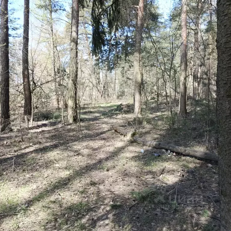 Участок в Московская область, Старая Купавна Богородский городской ... - Фото 1