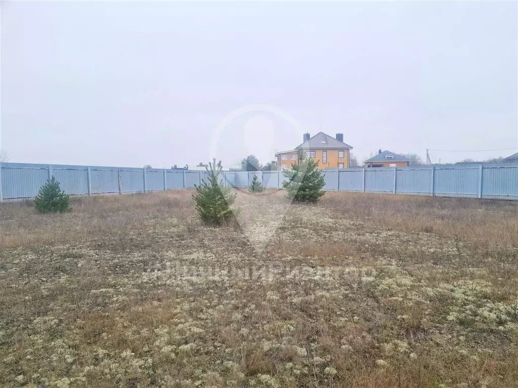 Участок в Рязанская область, Рязанский муниципальный округ, с. ... - Фото 1