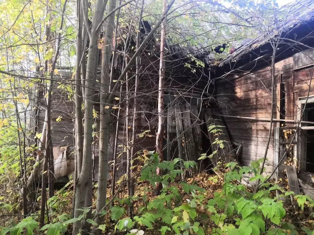 Дом в Архангельская область, Архангельск Российская ул., 22 (61 м) - Фото 1