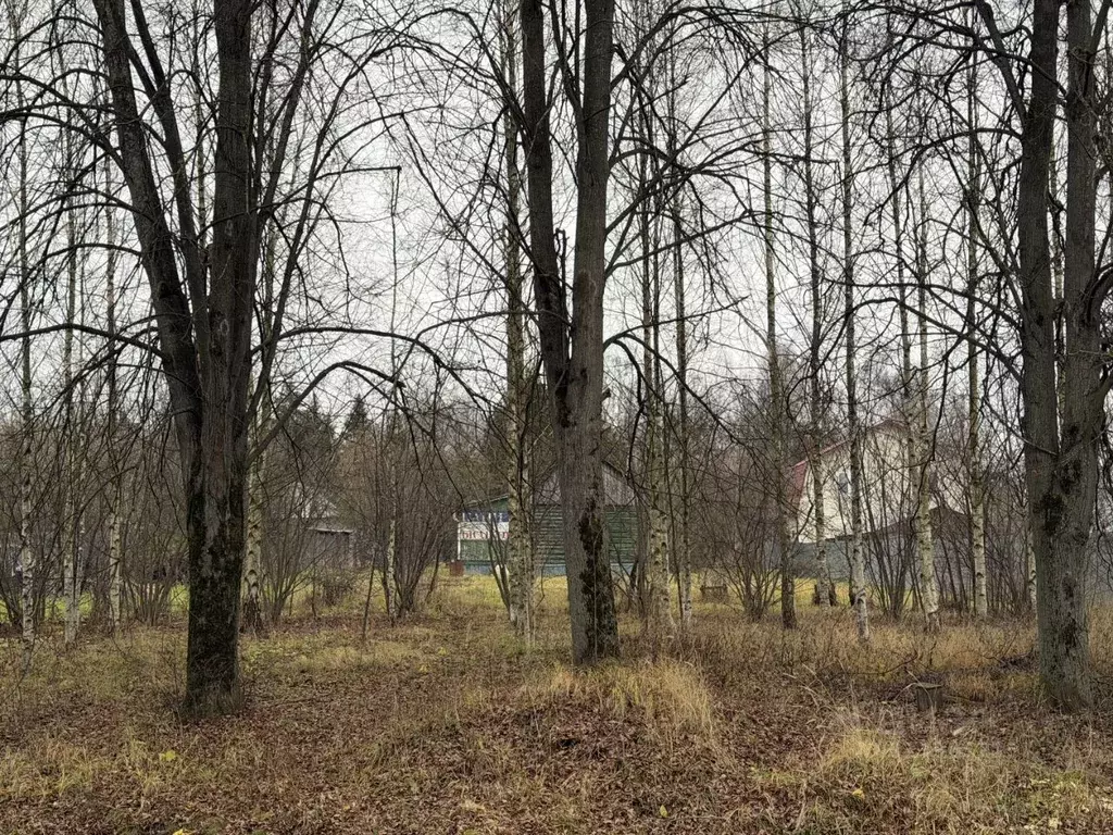 Участок в Москва д. Прокшино, 27 (6.0 сот.) - Фото 0