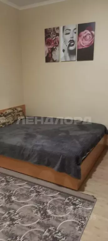 Студия Ростовская область, Ростов-на-Дону ул. Еременко, 93 (27.0 м) - Фото 1