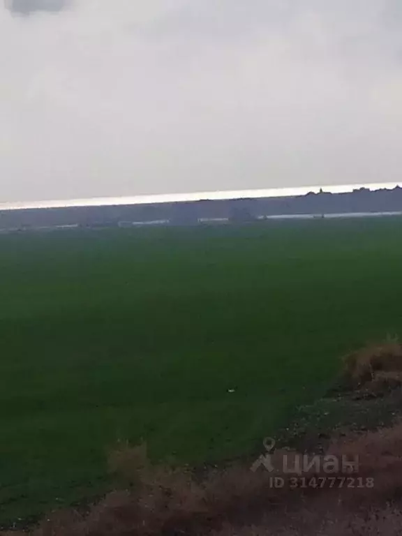 Участок в Крым, Феодосия муниципальный округ, с. Береговое  (100.0 ... - Фото 0