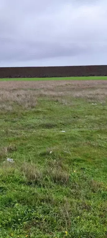 Участок в Крым, Сакский район, Суворовское с/пос, Заводское СПК ул. ... - Фото 1