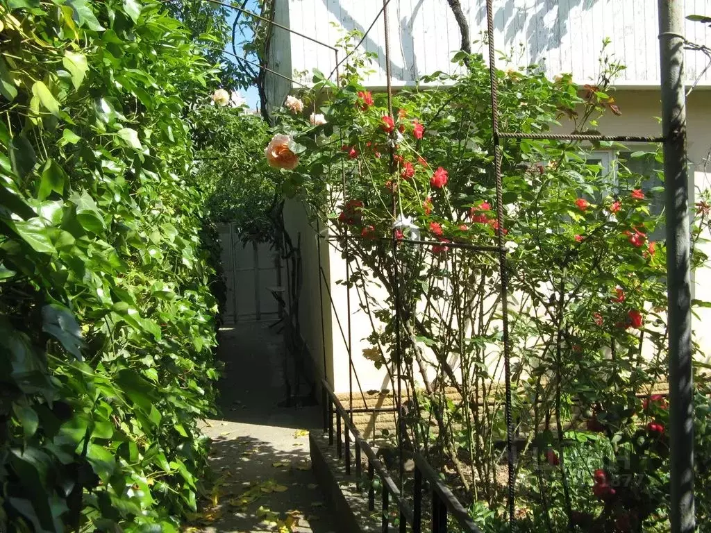 Дом в Крым, Ялта ул. Спендиарова, 14 (48 м) - Фото 1