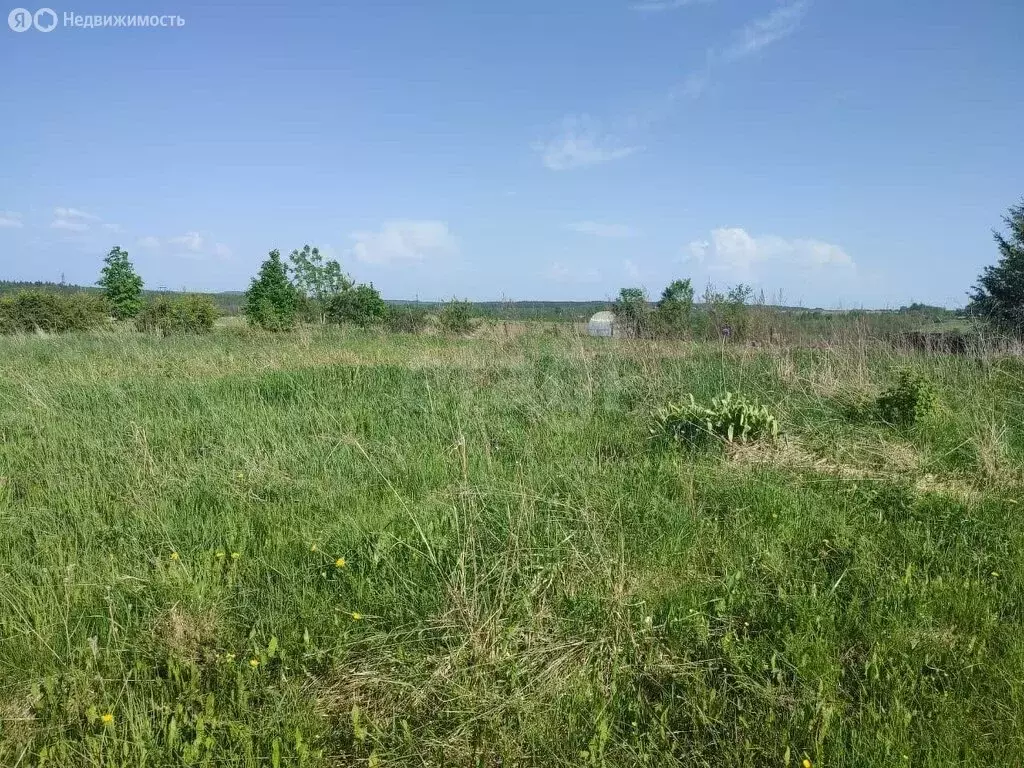 Участок в муниципальное образование Мяксинское, деревня Большая ... - Фото 0