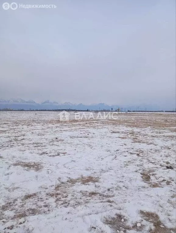 Участок в Тункинский район, сельское поселение Жемчуг (16619 м) - Фото 2