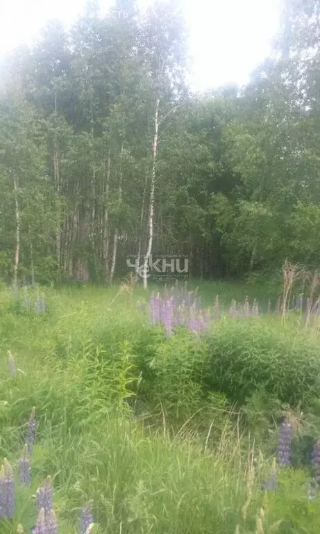 Участок в Нижегородская область, городской округ Бор, деревня Марково, ... - Фото 0